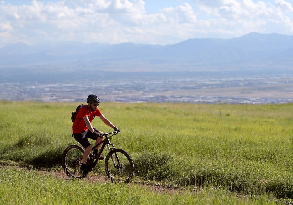 My ADPKD Story: From Diagnosis to Transplant